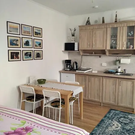 Apartamento Eco-lux With Free Bicycles End Free Parking Liubliana