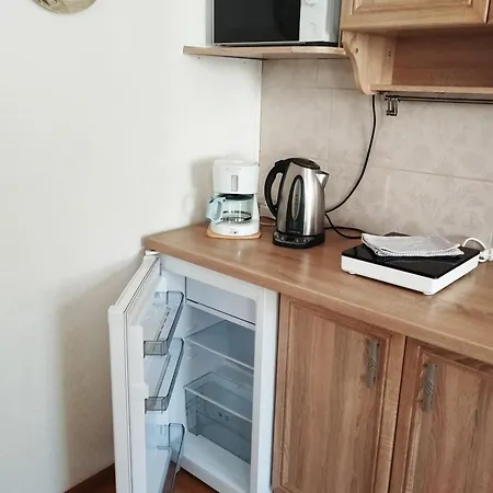 Apartamento Eco-lux With Free Bicycles End Free Parking Liubliana