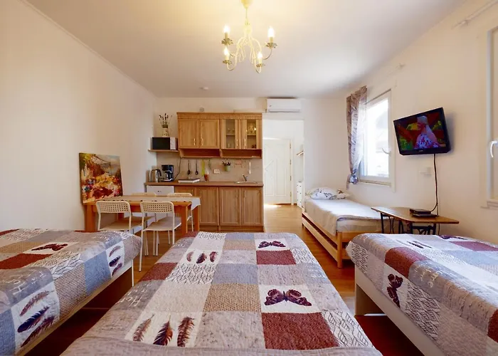 Apartman Eco-lux With Free Bicycles End Free Parking *